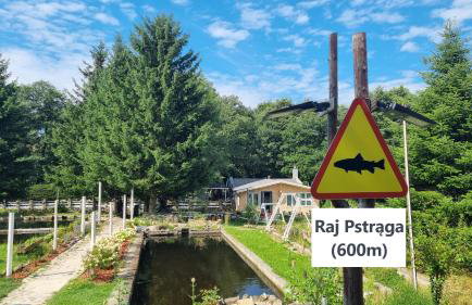 Willa Sowia nowy apartament z prywatnym tarasem i widokiem na góry - Foto 34