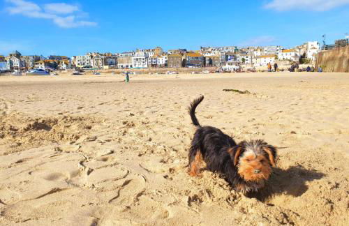 Idyllic Cornish Cottage, Superking bed, private garden dogs welcome - Photo 49