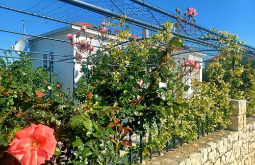 LUXURY VILLA ŠENTADA - Photo 15