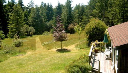 Rural Vacation Cottage near the Coast and the Town of Albion in Northern California - Foto 4