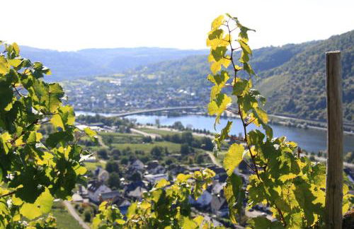 Ferienwohnungen im Moseltal - Foto 60