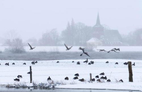 Landlust Unser L ieblingscafe - Foto 48