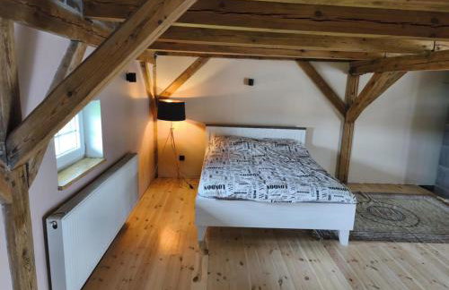 Mierunia Nature - Foto 19