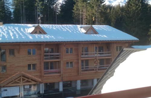 Studio coeur de station de Praz de Lys 1500m - Foto 10