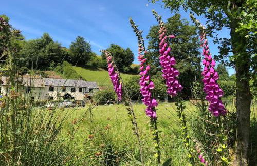 Luxury Exmoor Barn conversion with Sauna - Foto 1