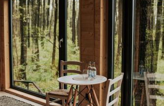 Dziki Las - domki na drzewach - Foto 41