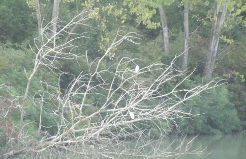 Apartment Wohnung in gemütlichem kleinen Bauernhaus by Interhome - Foto 32