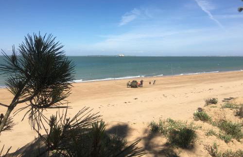 Les aigrettes - Foto 18