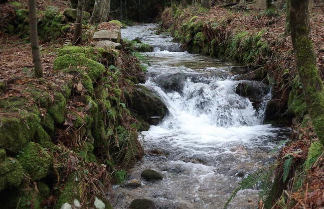 Quinta dos Caibrais - Photo 24