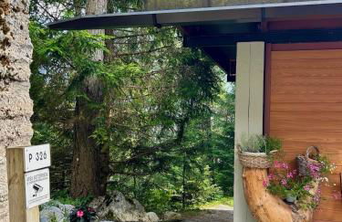 Ca'Mugo, a chalet in the magic woods, near Cortina - Foto 56