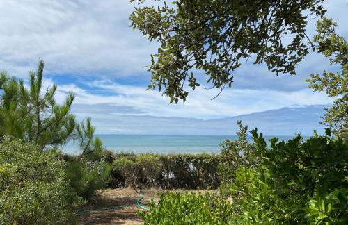 Maison vendéenne rénovée, accès direct plage, terrasses, BBQ, parking gratuit - FR-1-336-123 - Foto 18