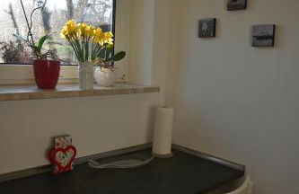 Schönes Appartement in ruhiger Lage - Foto 8