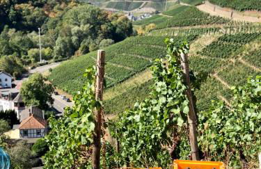 Ferienwohnung Ideenreich - Foto 20