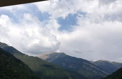 Edelweiss - Photo 20