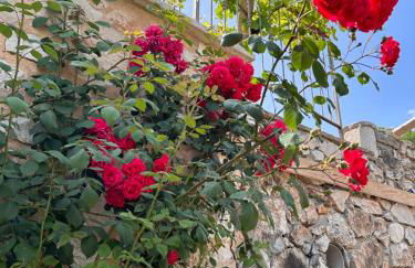 Bed and Breakfast Agriturismo La Palombara - Foto 25