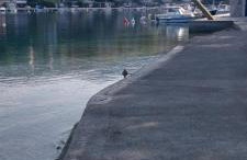 Apartment Tušek - Foto 66