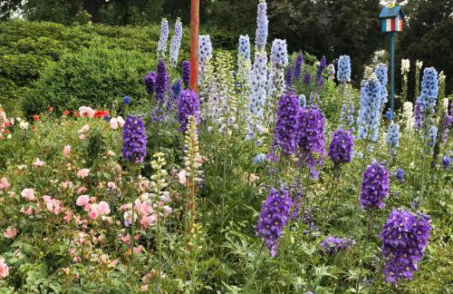 Schwalbennest - Foto 23