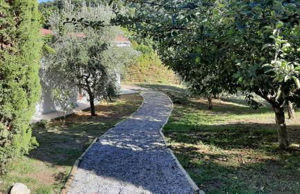 Bio Agriturismo Valle dei Calanchi - Foto 69