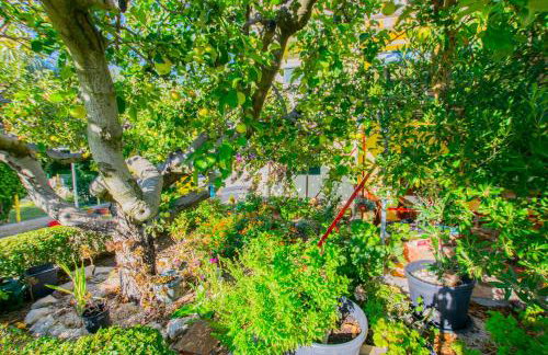 Apartments Boza - Foto 60