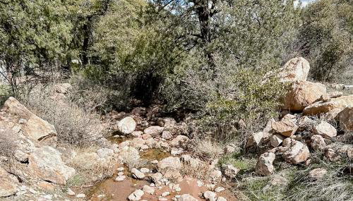 Hike, Fish and Relax Secluded Miami Retreat with Deck - Foto 4