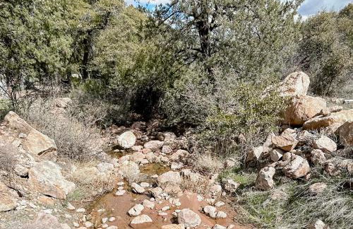 Hike, Fish and Relax Secluded Miami Retreat with Deck - Foto 4