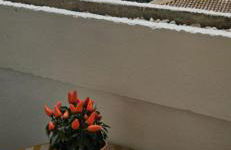 L'Oeil sur la Cité - Foto 8