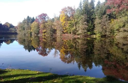 Gite in the Heart of Saone et Loire - Foto 22