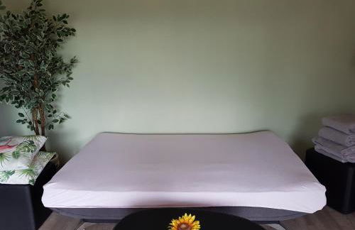 Feriendomizil am Zeulenrodaer Meer - Photo 6