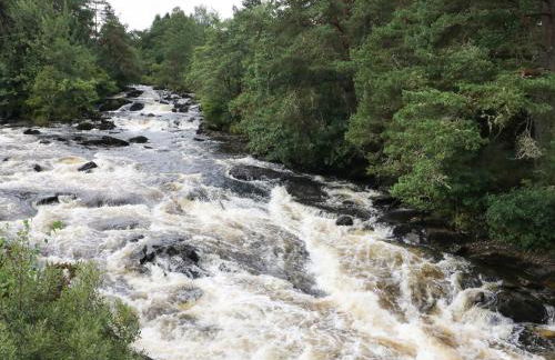 Millmore Cabin - Photo 18