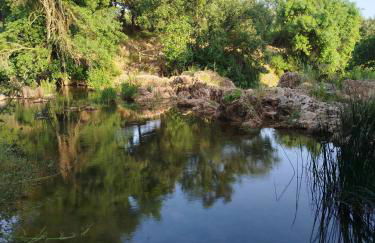 Casa Monte Los Peñasquitos - Photo 31