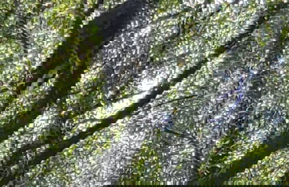 Catskill Retreat - Foto 71