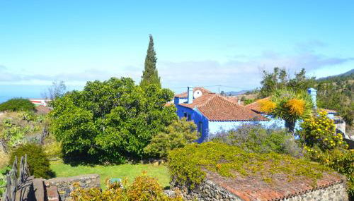 La Higuerita - Foto 2, Garden, Garden view