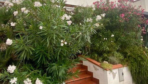 Delphina House - Foto 3