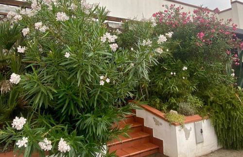 Delphina House - Foto 3