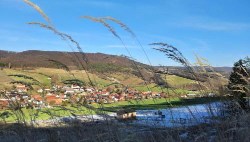Ferienhaus am Schierbach - Foto 4
