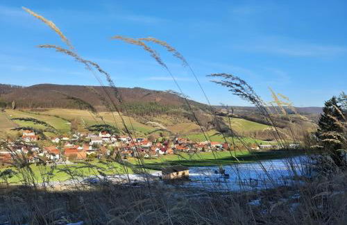 Ferienhaus am Schierbach - Photo 4