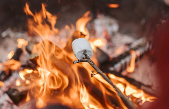 Bay and Bush, Jervis Bay - Photo 68