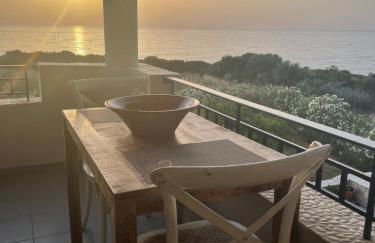 Tzanetos Pelagos - Foto 22