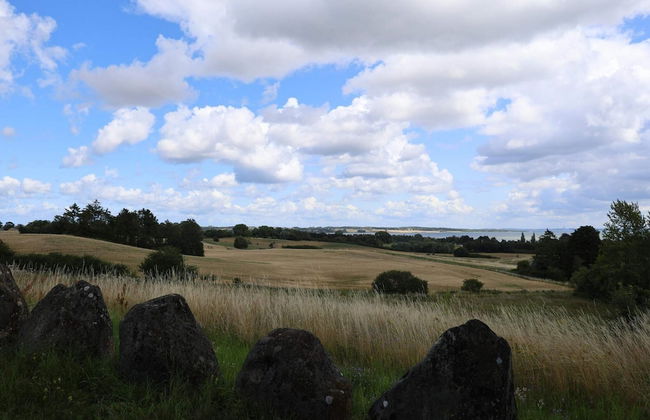 4 Person Holiday Home in Grevinge - Foto 24