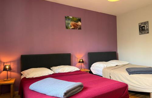 Gîte L'ESTAOU, 3 épis, 15 pers, 18 couchages - Ancienne ferme rénovée - Label Ecogîte - Foto 28