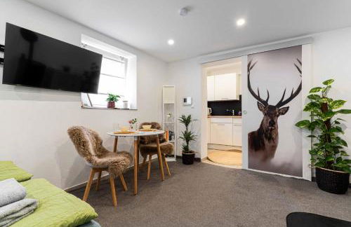 Litzi's Schwarzwald Apartment mit Kamin - Foto 1