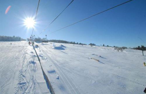 BEAUTIFUL CHALET in nature near Gerardmer! - Foto 33