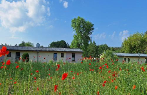 Ferienwohnung mit Seeblick am Groß Labenzer See - Foto 44