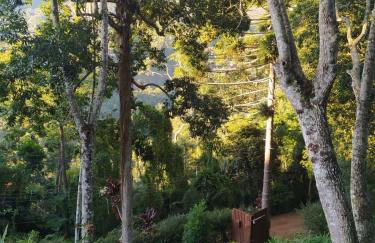 Nossa casa - Foto 21