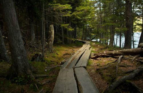 Secluded Oasis on Acadia's Quietside - Pets OK! - Foto 24