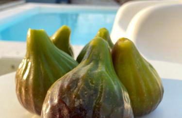 Monte do Pombal - Foto 68