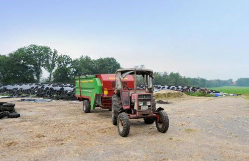 Ferienwohnung auf dem Bauernhof Reents - Foto 23