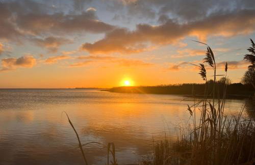Grosse 4 Sterne Ferienwohnung beim Boddenstrand - Foto 45