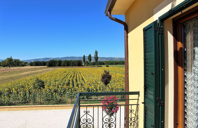 Il Podere di Francesco - Foto 75