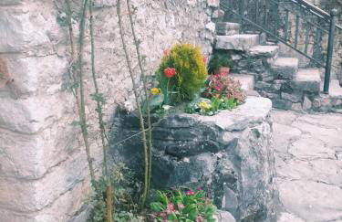 Turismo en Babia Bajo los nidos - Foto 6